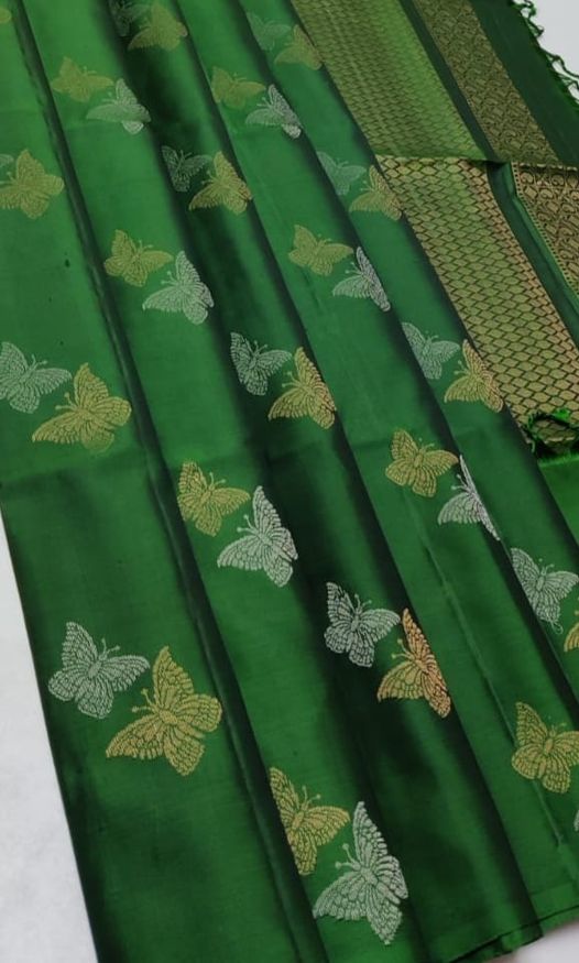 Borderless | Kanchipuram Silk Saree | Handwoven Pure Silk | Pure Zari | PV  DL 08 – Panjavarnam